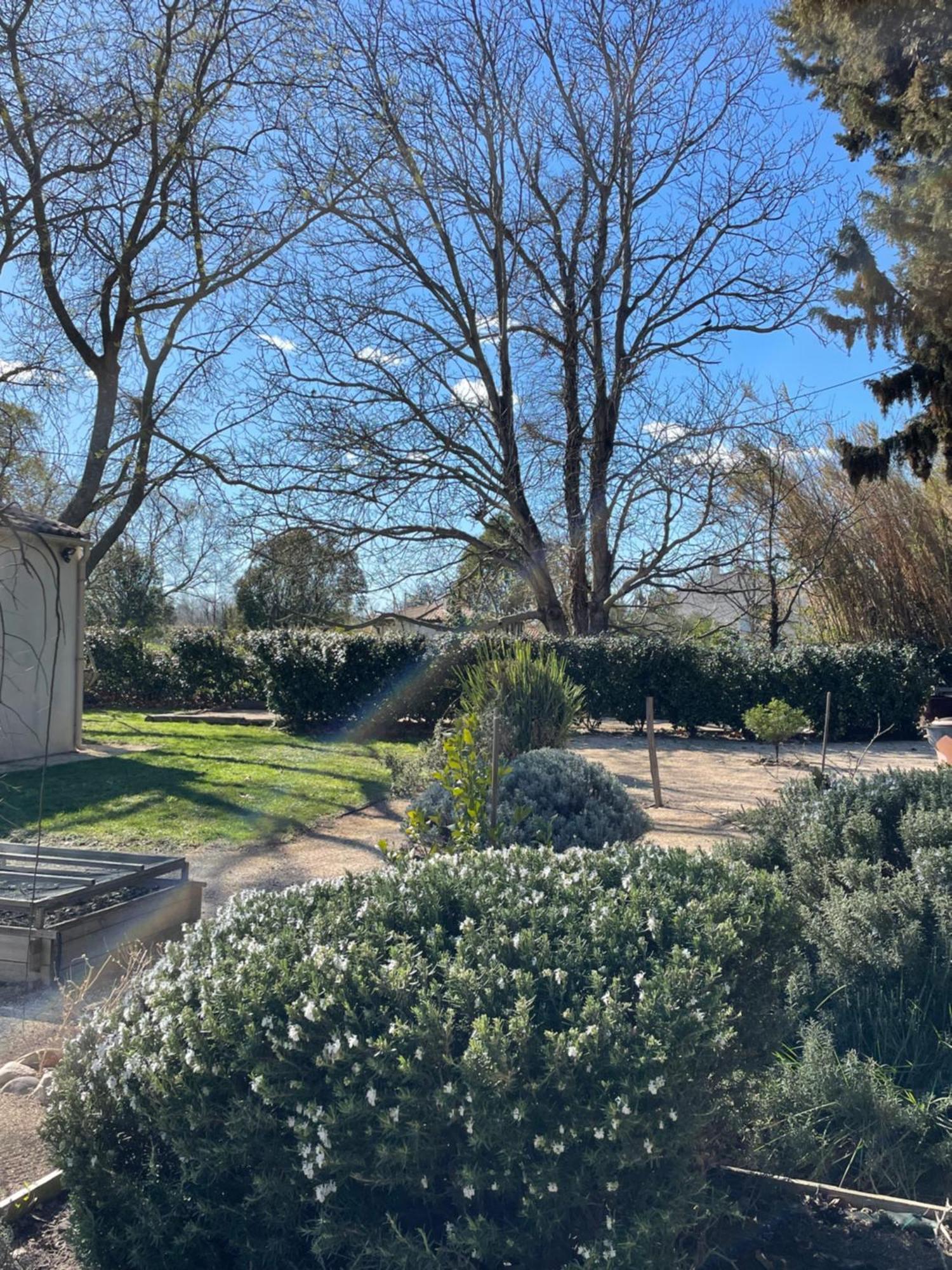Bed and Breakfast Arles Campagne Location "La Campagn'Arles" Esterno foto