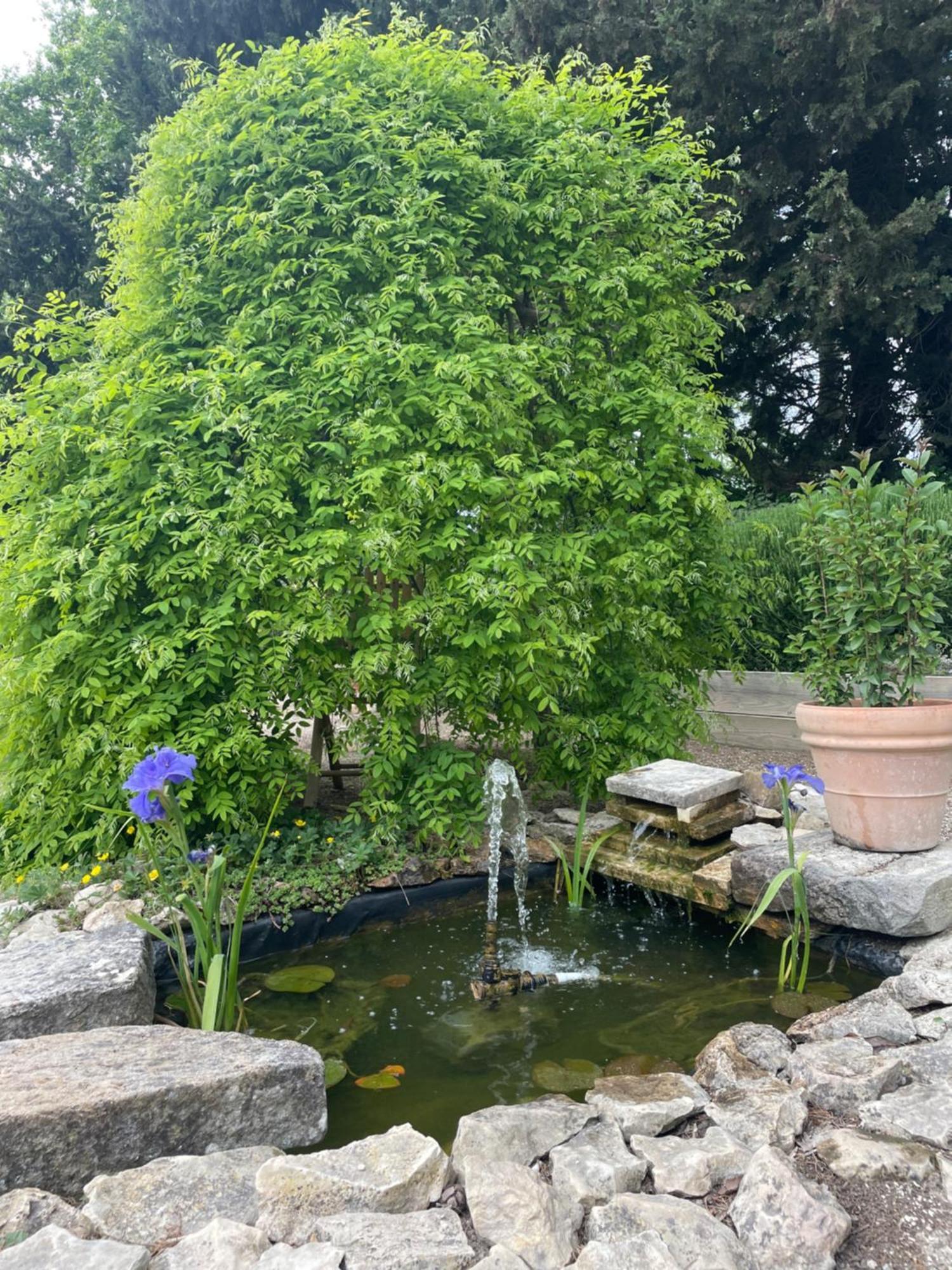 Bed and Breakfast Arles Campagne Location "La Campagn'Arles" Esterno foto